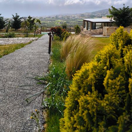 Alagni Cretan Resort エクステリア 写真